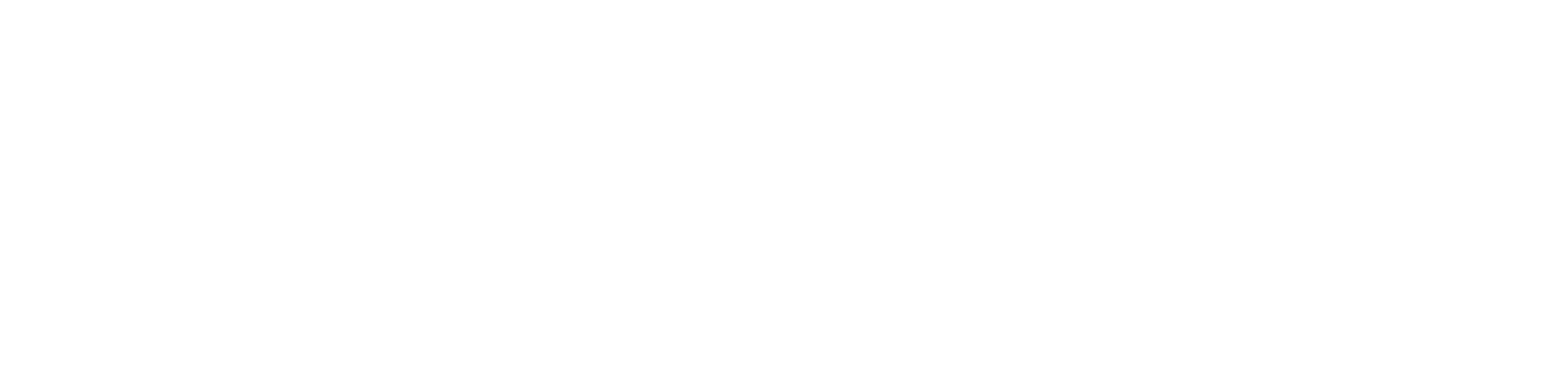 替代方案有限公司